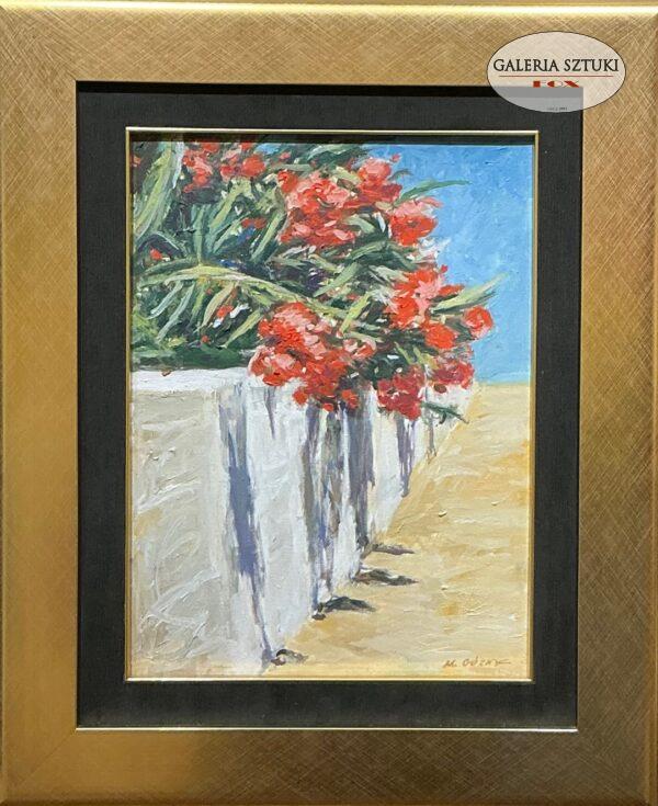 Moje południe - KOS